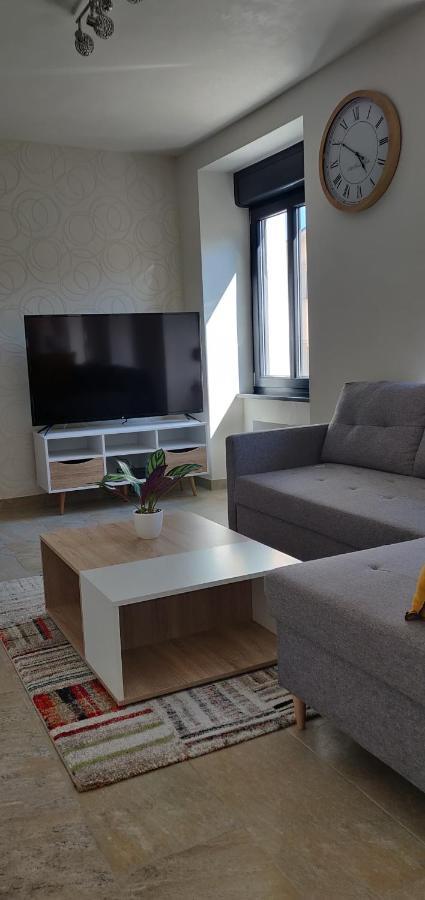 Le Cygne, Appartement De Standing En Hyper-Centre Sarreguemines Exterior foto