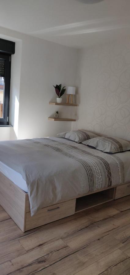 Le Cygne, Appartement De Standing En Hyper-Centre Sarreguemines Exterior foto
